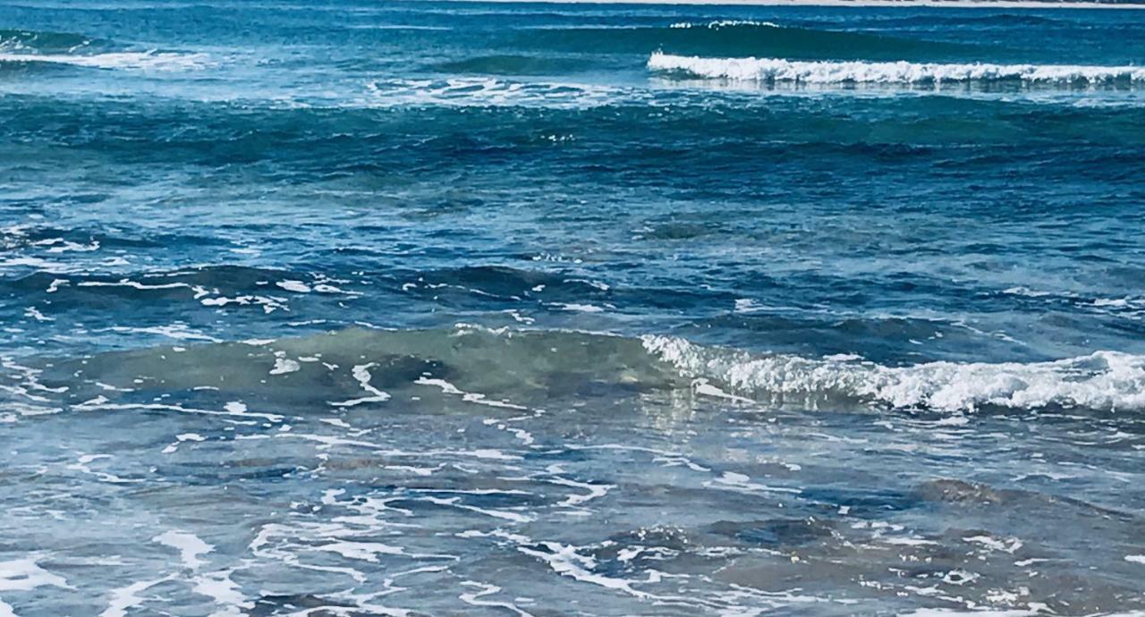 Atlantic Surf Apartment Ferrel  Bagian luar foto